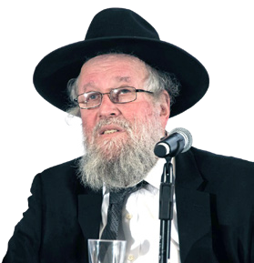 Rabbi Elya Brudny