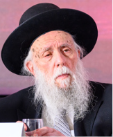 Rabbi Hillel David