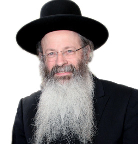 Rabbi Aryeh Malkiel Kotler